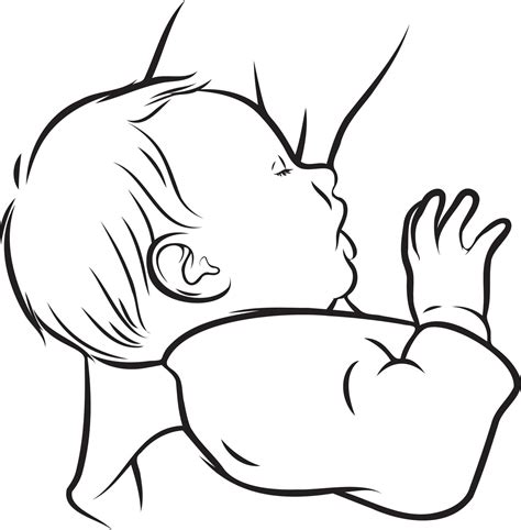 breastfeeding  drawing  vector art  vecteezy