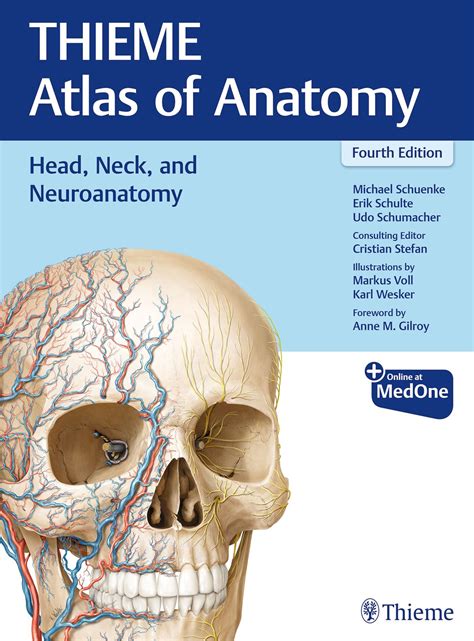 Head, Neck, and Neuroanatomy (THIEME Atlas of Anatomy) | 9781684205943