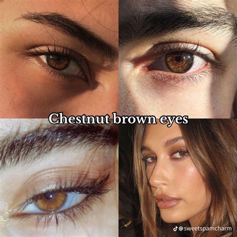 chestnut eyes color cherry brown eyes dark honey eye color brown