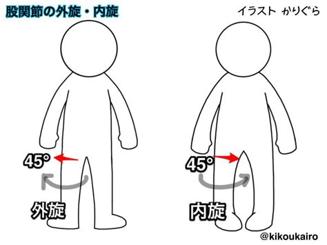 股関節の動きと目標可動域（どれが苦手か自分でわかりますか？） | きこうカイロ施術院