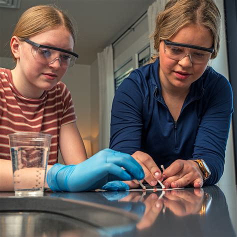 Home Blood Typing Kits for Students (ABO-Rh), 32 Tests | HST