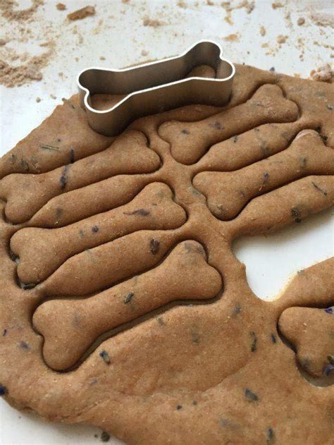 Что подарить собаке на Новый год. Новый год с собакой | Pet treats ...