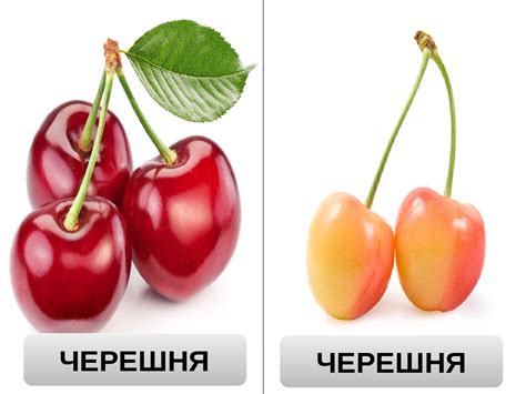 Презентація: Лексична тема " Ягоди".