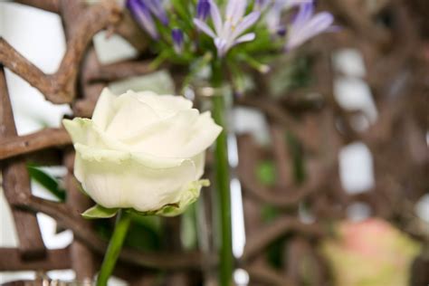 Carla opende een jaar geleden 'Knapen Bloemen & Snijheesters ...