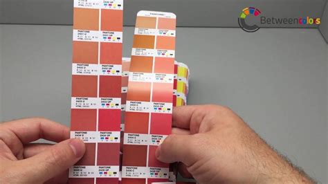Pantone Color Bridge