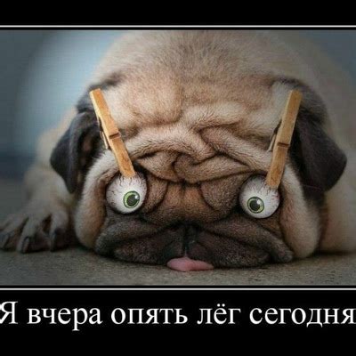 Статусы про работу!!! | VK