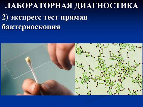 Дифтерия - презентация онлайн