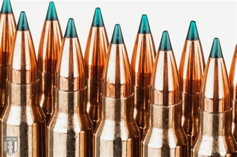 Best 300 Win Mag Ammo Recommended by Experts at Ammo.com