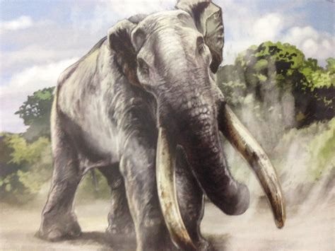 The Proboscidea of the Past