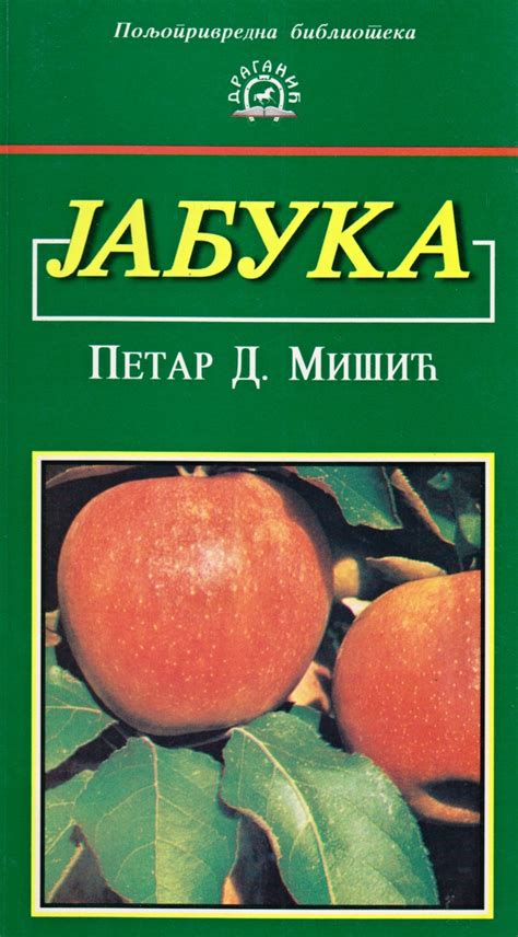 Jabuka
