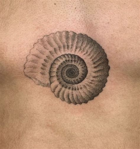 Spiral shell tattoo – Artofit