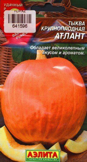 Тыква Атлант Описание И Фото – Telegraph