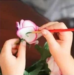 DIY Rainbow Roses – DIY Garden, Crafts and More