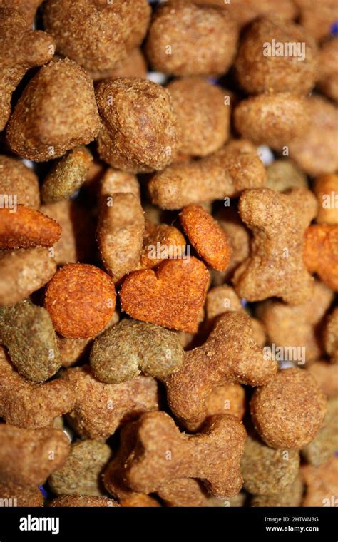 Dog dry healthy food from purina close up background high quality big ...