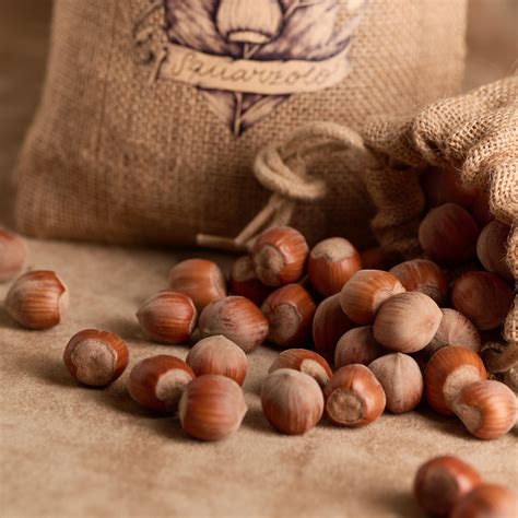 Nocciola tonda gentile trilobata