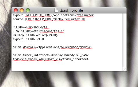 Setting Up a Bash Profile and Aliasing a Program | Structural ...