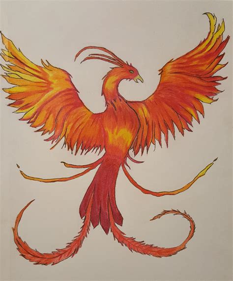 how to draw a phoenix 6