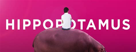 The Hippopotamus Movie Poster and Image