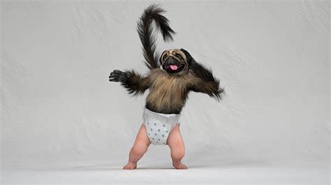 Puppy Monkey Baby — ron white design