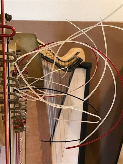 melodys strings folk harp