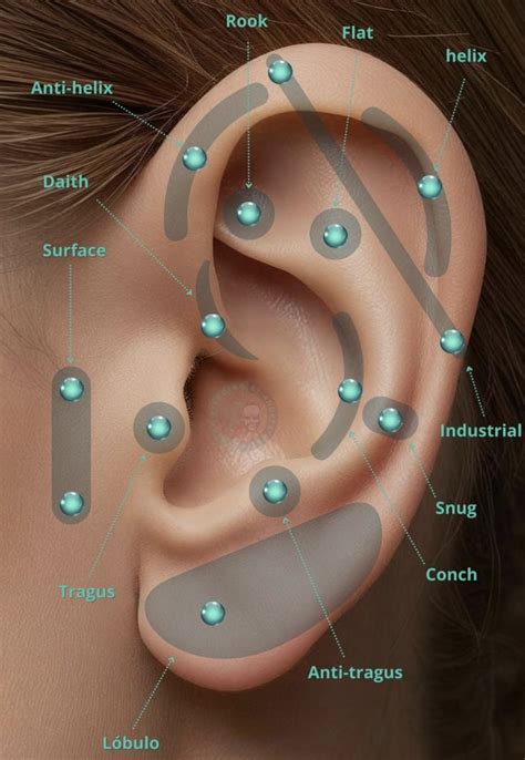 types  ear piercings  pain  placement
