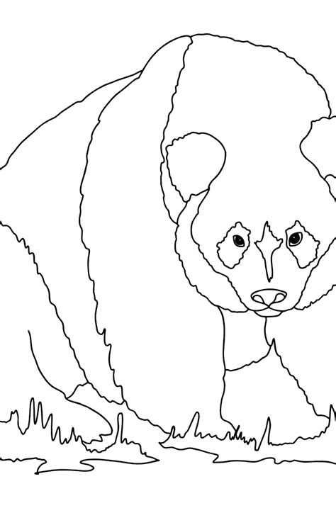 Mountain Animals Coloring Pages - Print For Free!