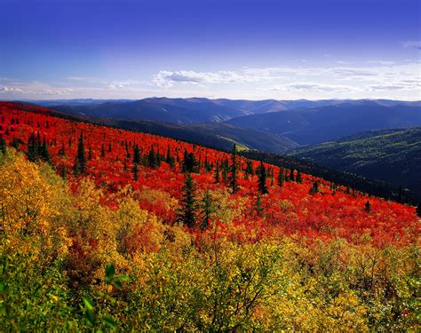 Yukon Territory Photo Gallery | Fodor’s Travel