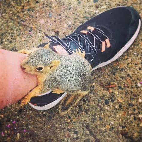 Kayla Conley Moulden