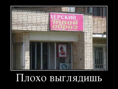 Смешные демотиваторы для настроения (21 шт)