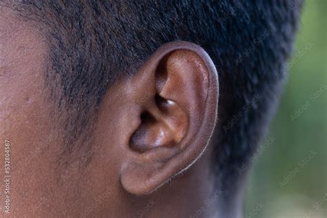 human ear close    mans ear  body part helps  hear sound
