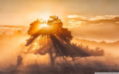 sun wallpaper  pictures wallpaperset