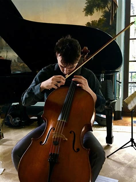 portrait   cellist  behance