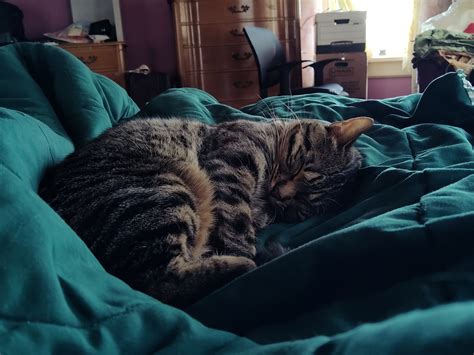 Jessa Flux™ on Twitter: "@fishboyone https://t.co/pOurRoL2MP" / Twitter