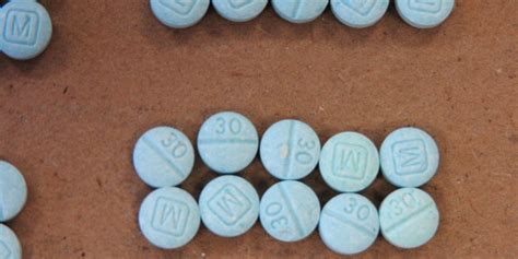 What is carfentanil the elephant sedative? - Business Insider