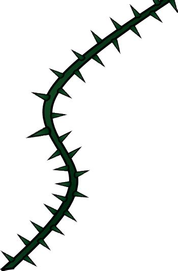 Thorny Vines Designs
