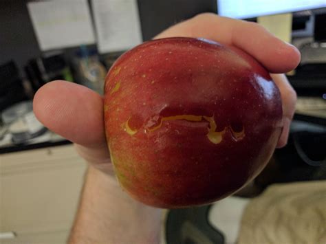 My bite mark looks like that alien assassin in Last Starfighter : r