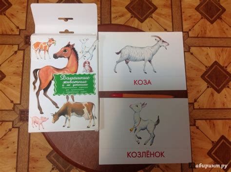 Книга: Дидактический материал "Познаём окружающий мир". "Домашние ...