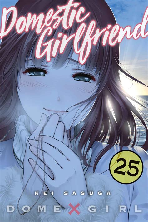Domestic Girlfriend, Volume 25
