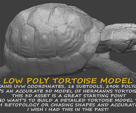 ArtStation - TORTOISE LOW POLY 3D MODEL | Resources