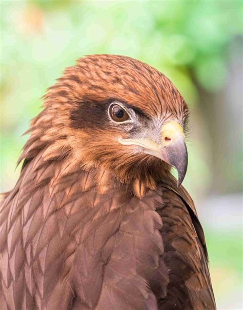 Historical archives will soon include all p&j obituaries 5