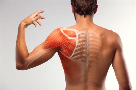 Stephanie's Top Tips For Managing Your Sore Shoulder — Ladner Village