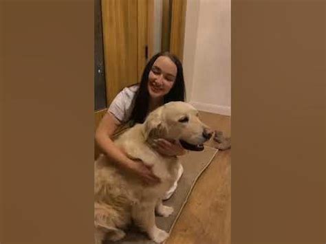 Ага,ага,ага собачка моя 🐕 - YouTube