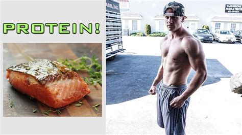Best High Protein Low Calorie Foods! - YouTube