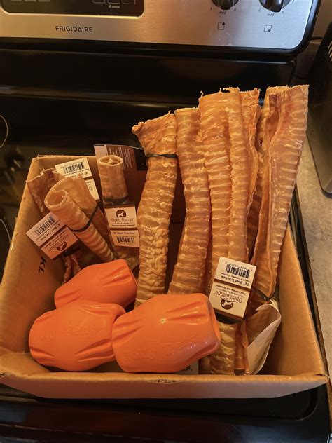 [OC] spending a little extra this year on the dogs : r/DOG