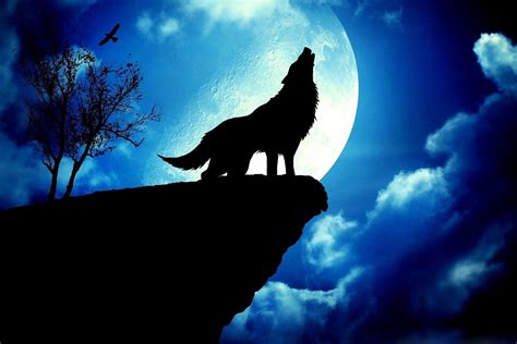 Wolf Howling At The Moon Wallpapers - Wallpaper Cave