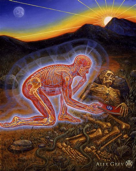 Tibetan Yogas Dream Sleep Pdf Creator - avidposts