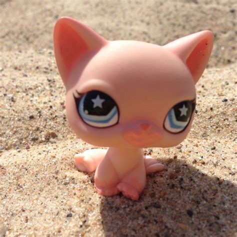 Pin by Sydney Langhorn on Lps | Lps popular, Little pets, Pet shop