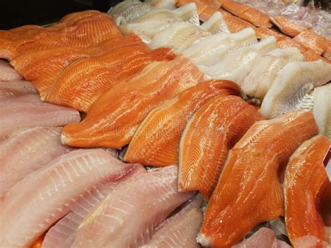 Fresh fish fillet stock photo. Image of fillet, store - 142728302