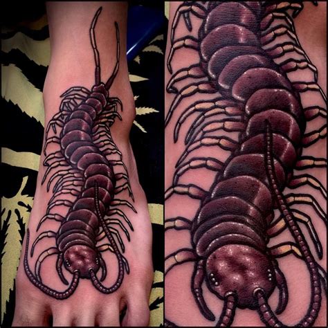 Scolopendra Centipede Foot tattoo - Best Tattoo Ideas Gallery