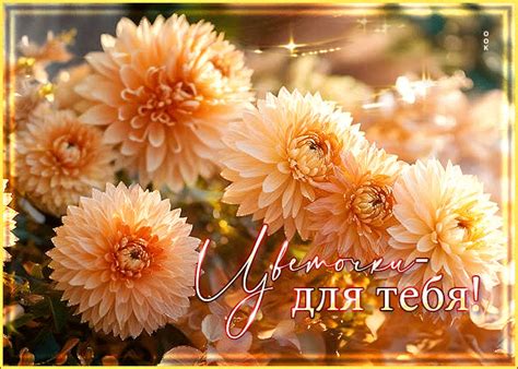 Сказочная и тёплая осенняя открытка Цветочки для тебя- Скачать ...